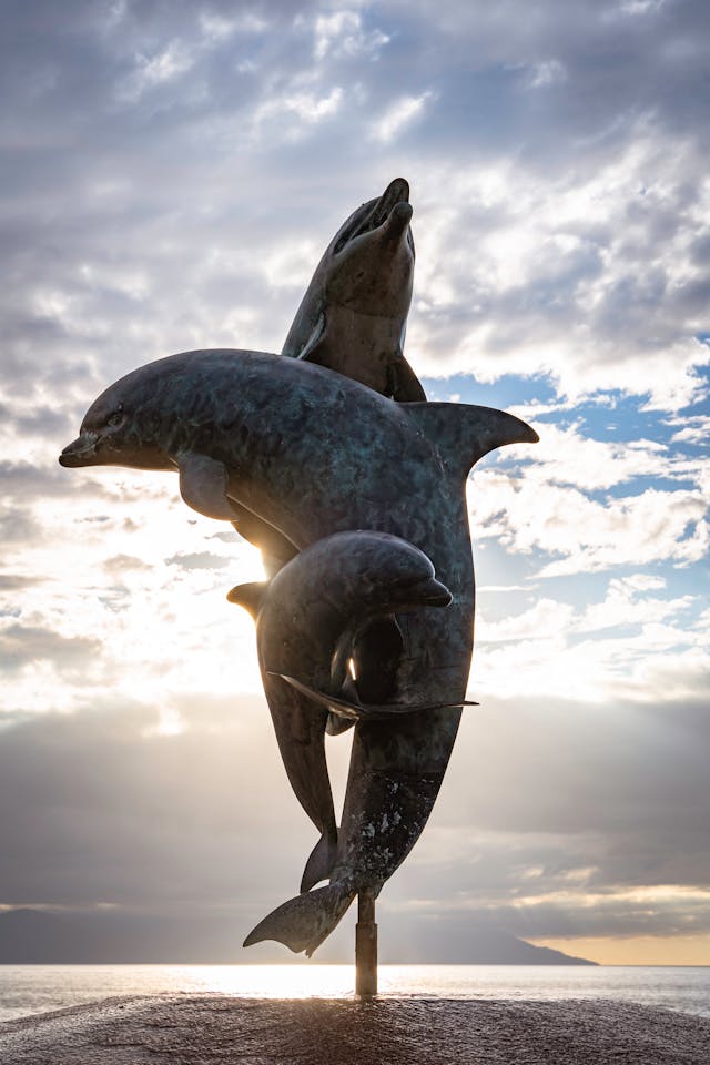 puerto vlalarta o nuevo vallarta