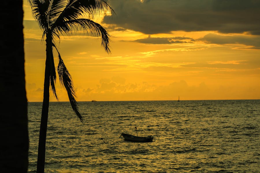¿Por qué Puerto Vallarta tiene el sector inmobiliario más caro de México 