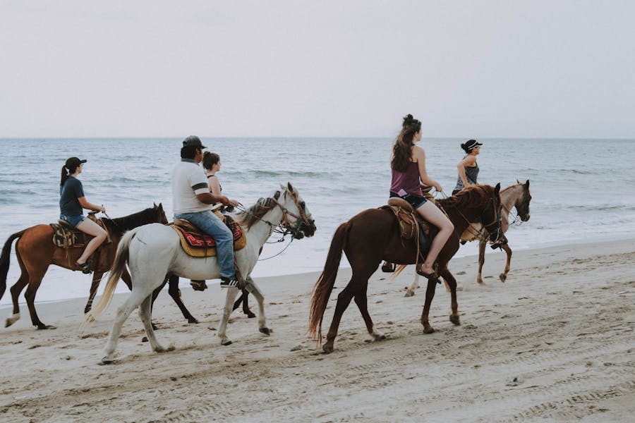 Los mejores lugares alrededor de Puerto Vallarta
